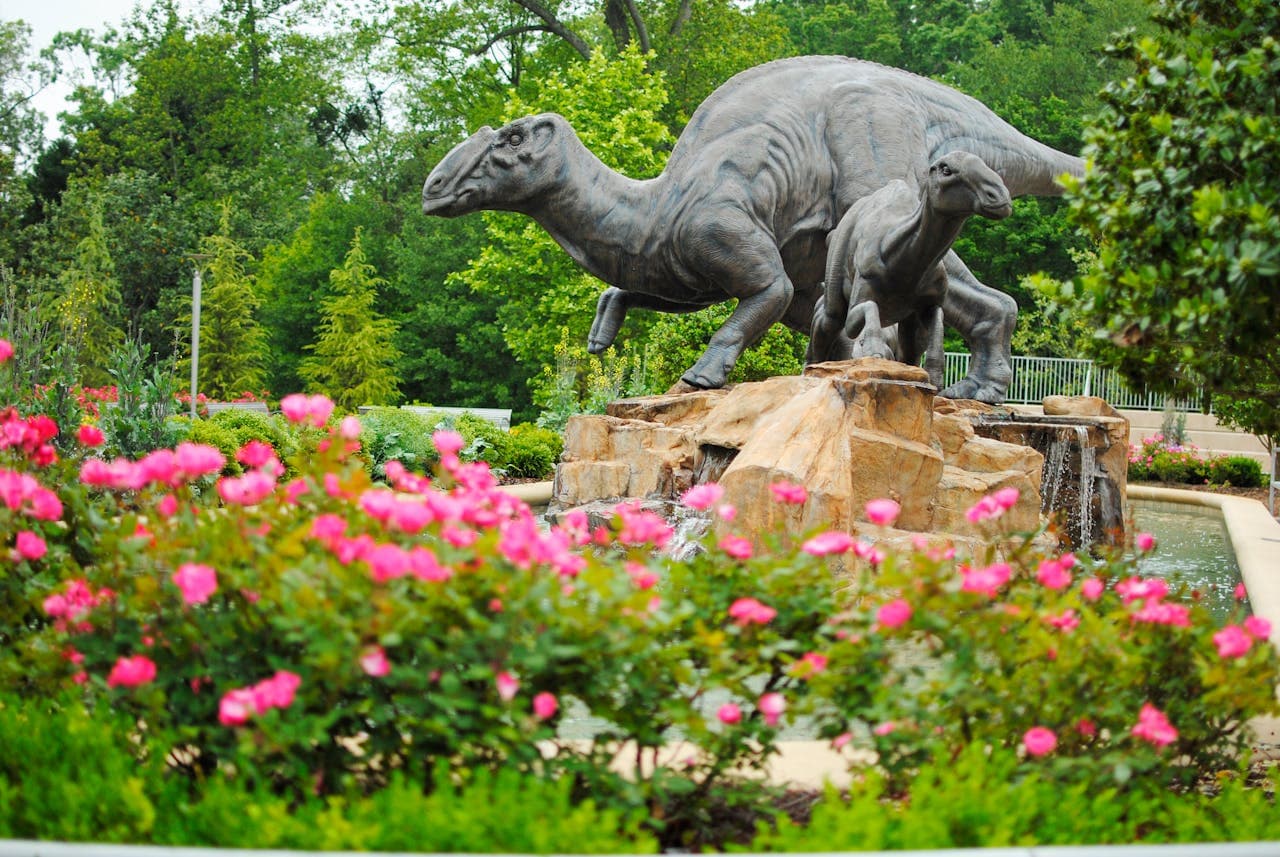 Atlanta CityPASS - image 4