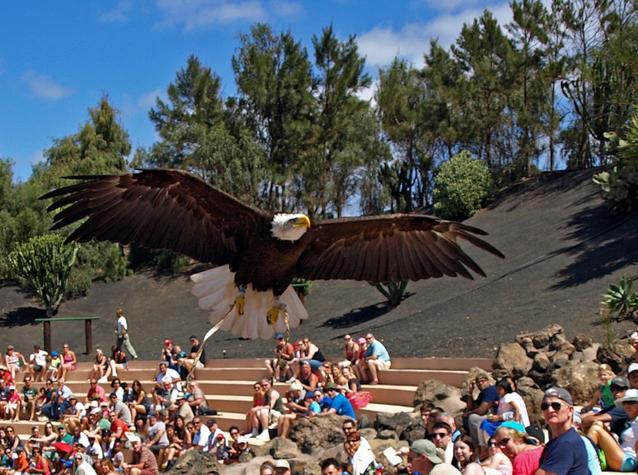Rancho Texas Lanzarote Park Ticket - image 8