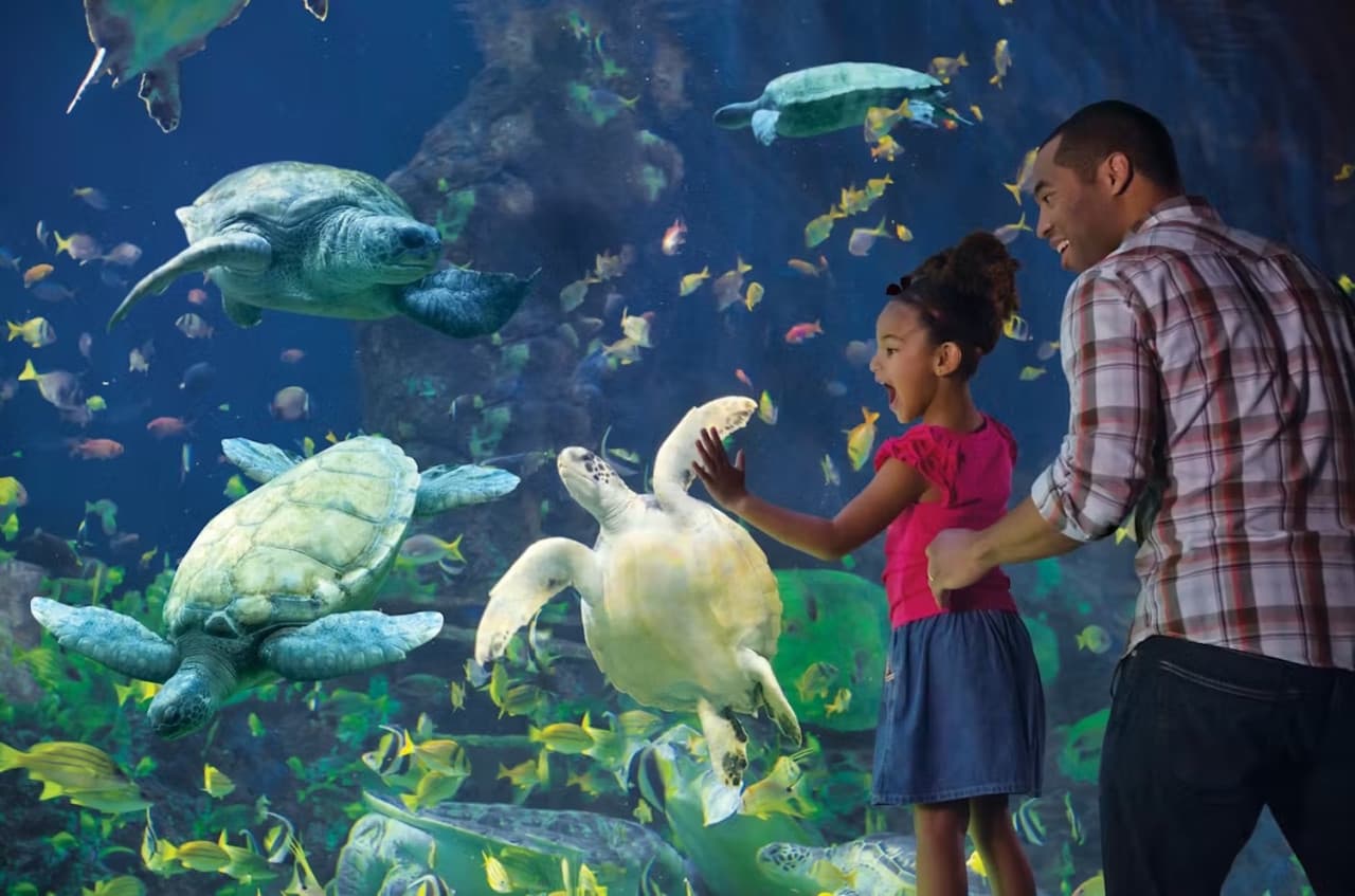 SeaWorld San Diego Ticket: Direct Entry - image 10