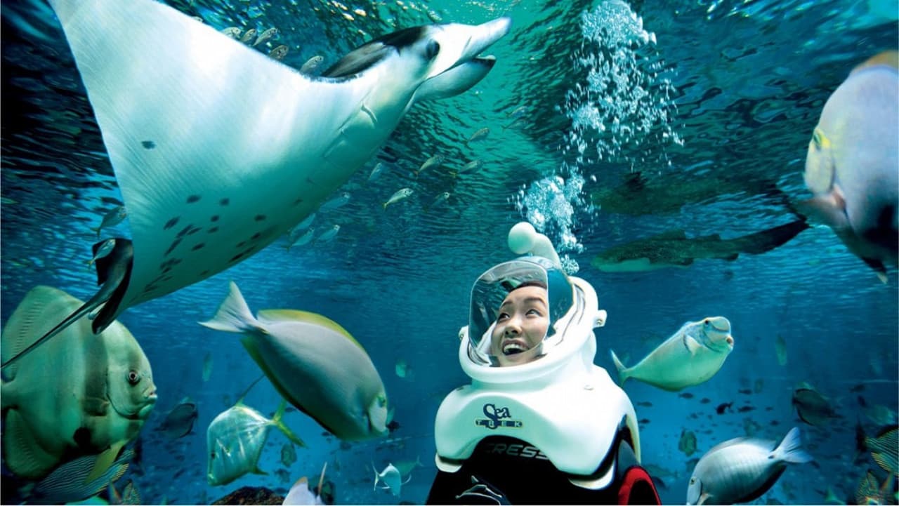 Ultimate Marine Life Experience at Adventure Cove Waterpark - imagen 2