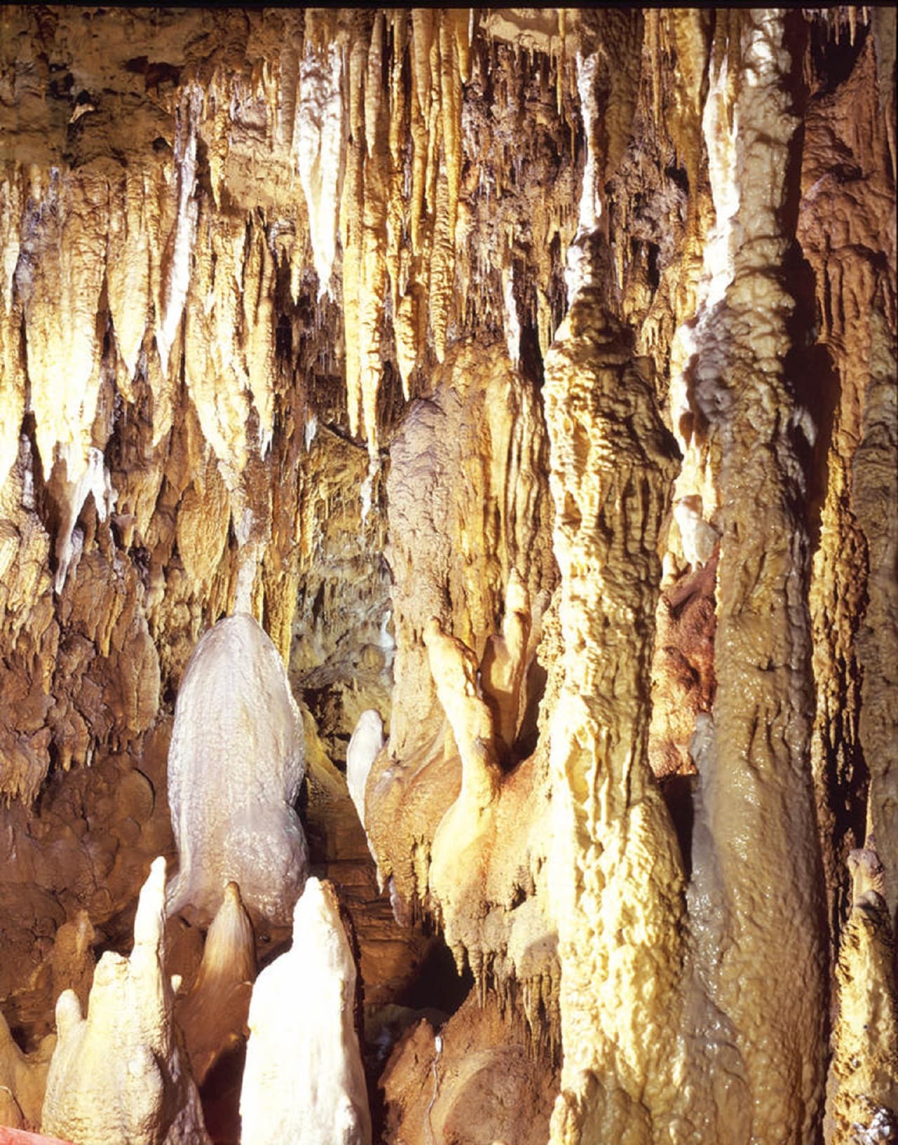 Okinawa World Pass - image 6
