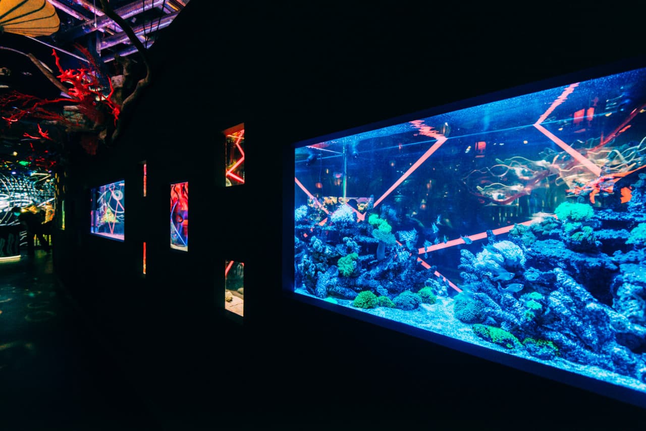 UWS Aquarium Gakyo Ticket - image 7