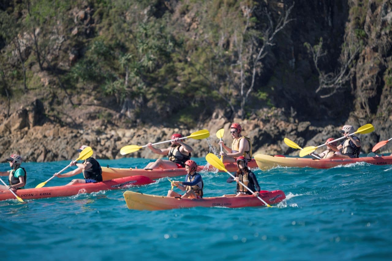 Byron Bay Kayaking Experience with Dolphins - image 3