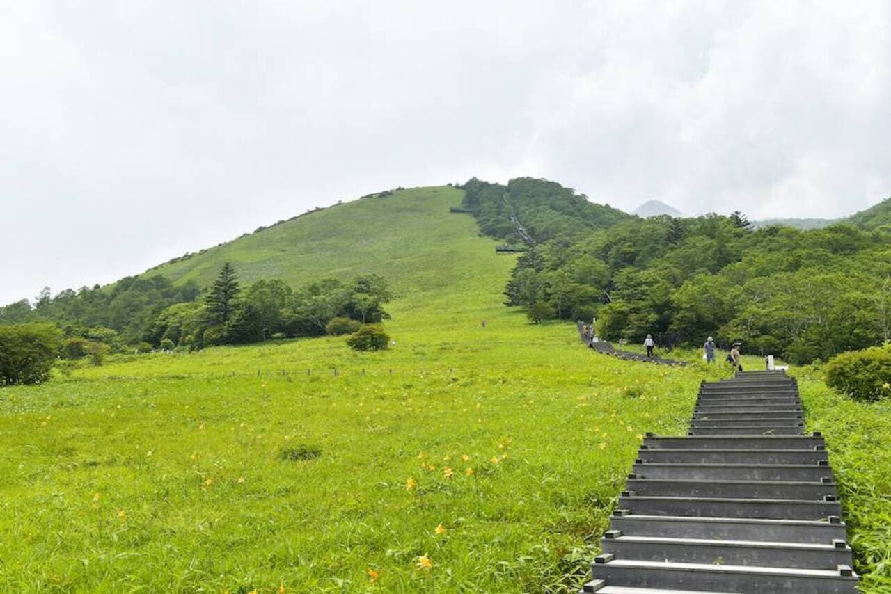 Nikko Pass All Area - image 7