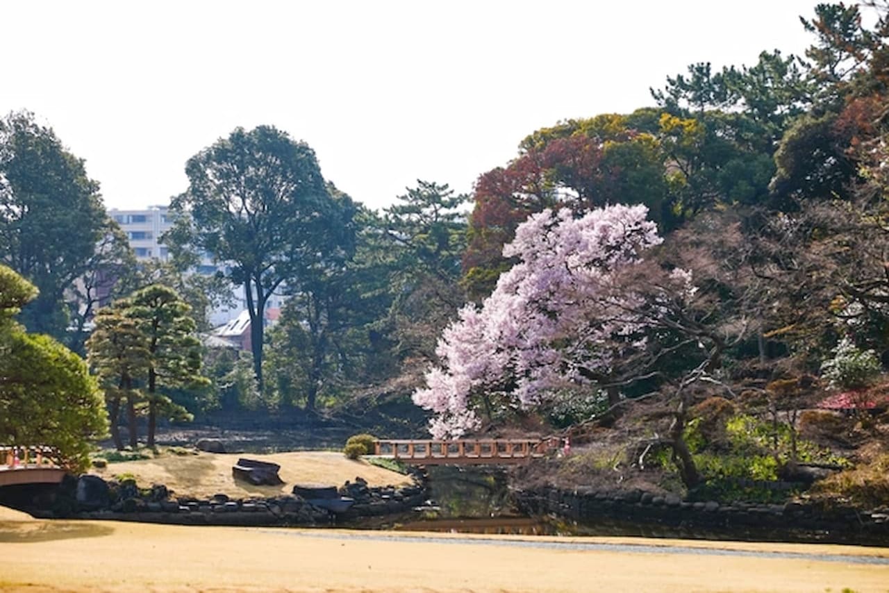 Entrada al Jardín Nacional Shinjuku Gyoen - imagen 4