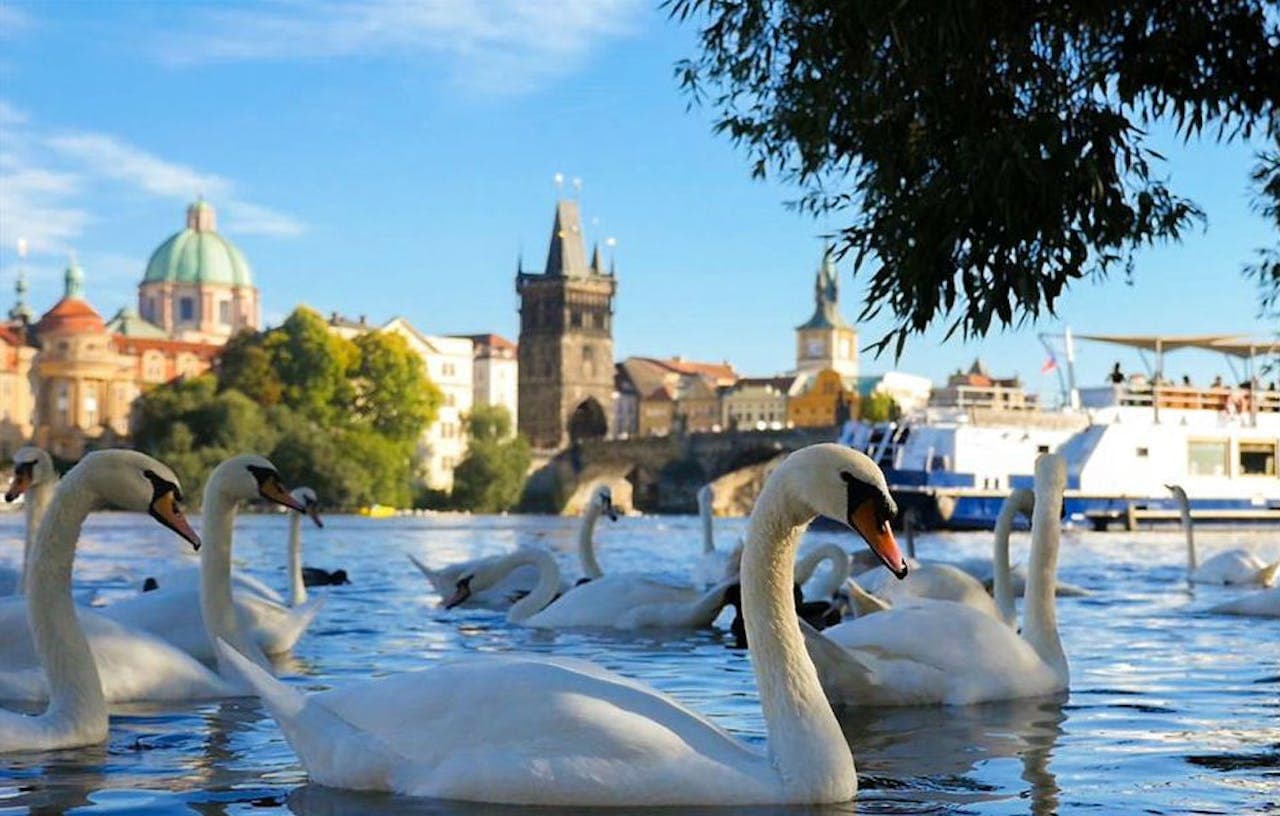 Crucero por el río Moldava en Praga - imagen 2
