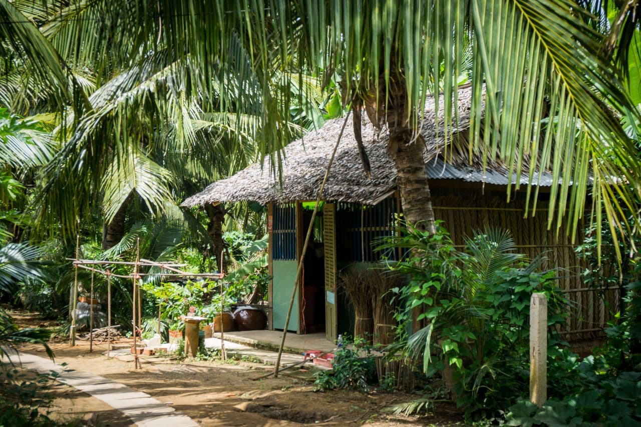 Mekong Delta, Cai Be, and Tan Phong Island Full-Day Tour from Ho Chi Minh - image 3
