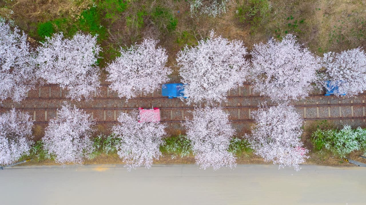 Nami Island, Mount Seorak, and Gapyeong Rail Bike Full-Day Tour from Seoul - 이미지 16