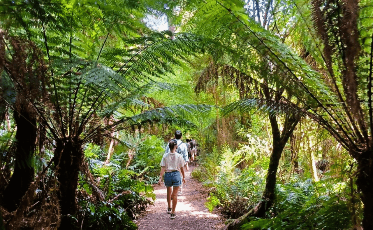 Great Ocean Road Tour from Melbourne - image 26