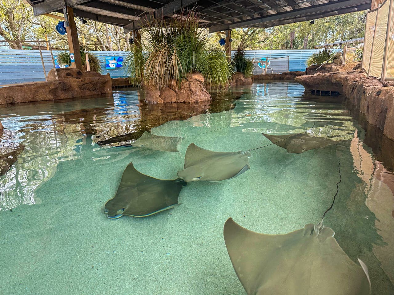 ZooTampa at Lowry Park Ticket - image 9