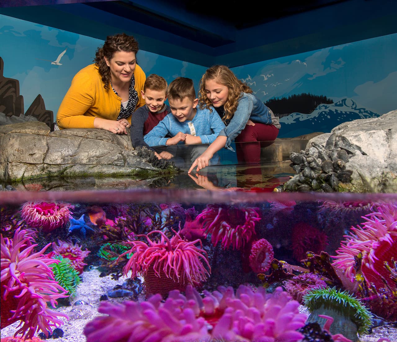 COMBO: Madame Tussauds Orlando + SEA LIFE Orlando Aquarium Ticket - image 12