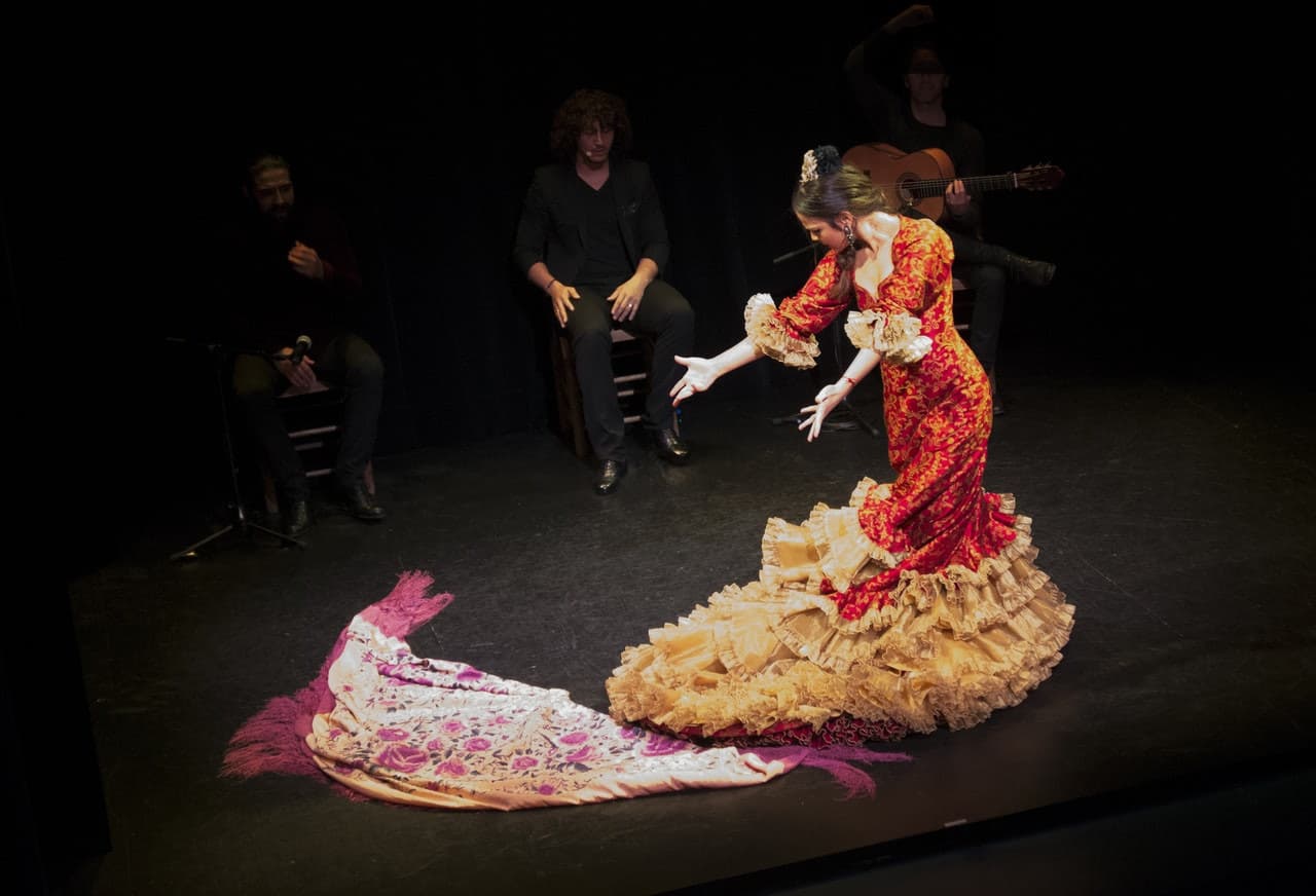 Flamenco Show at Triana Theater - image 3