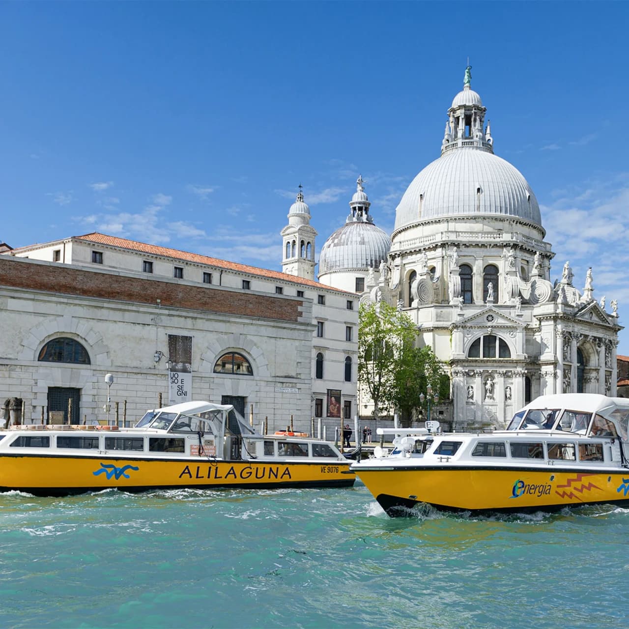 Venice Marco Polo Airport Alilaguna Waterbus Transfers - image 2