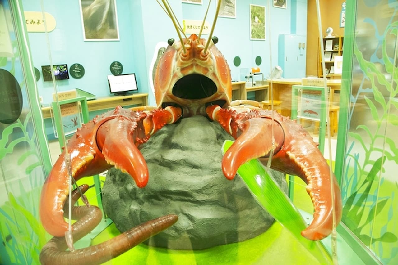 Lake Biwa Museum Ticket - image 2