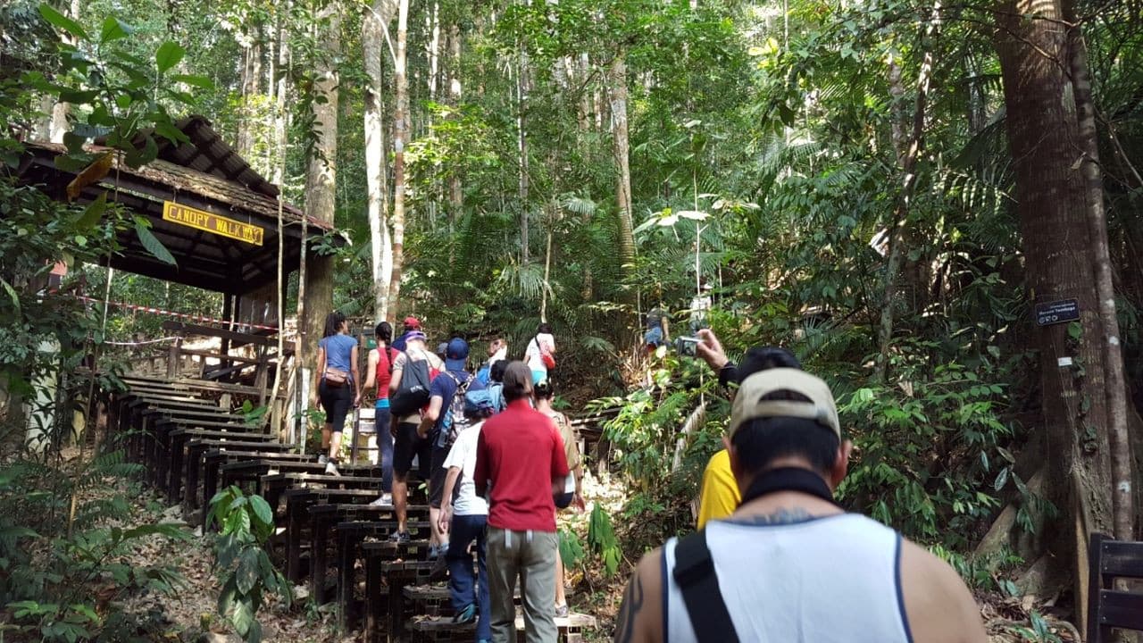 Taman Negara National Park Tour from Kuala Lumpur - image 3