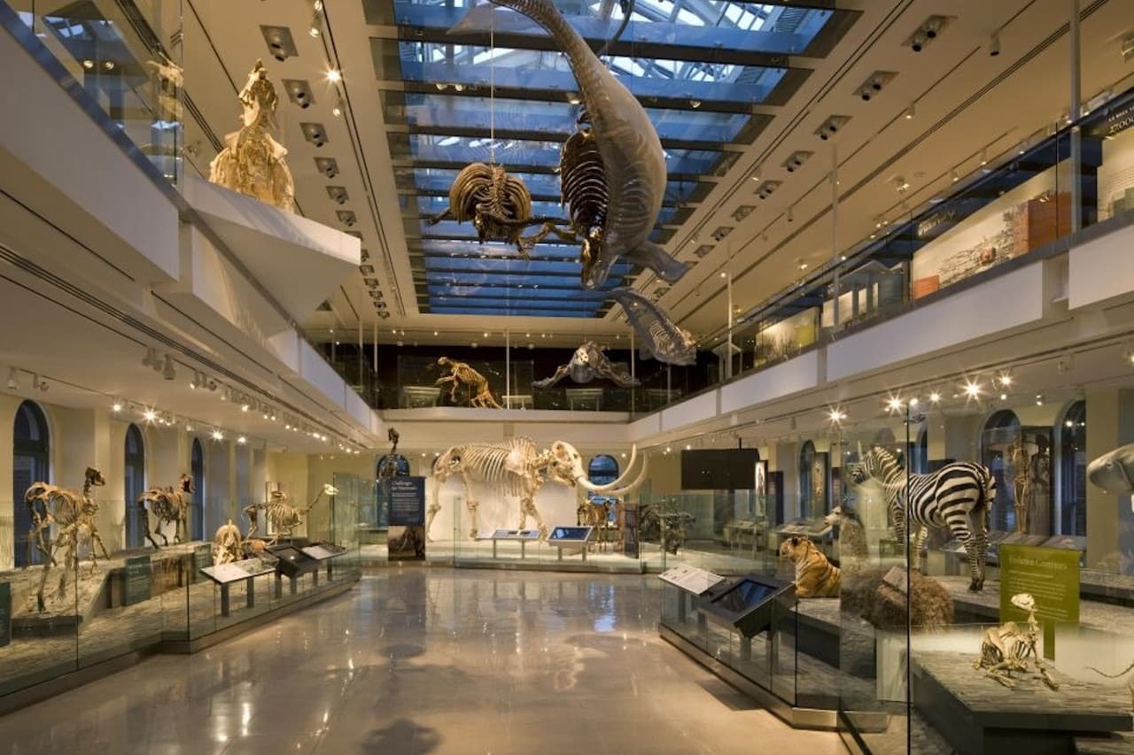 Natural History Museum of Los Angeles County - main image