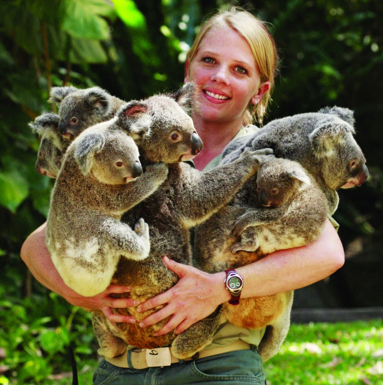 Kuranda Koala Gardens - 이미지 7