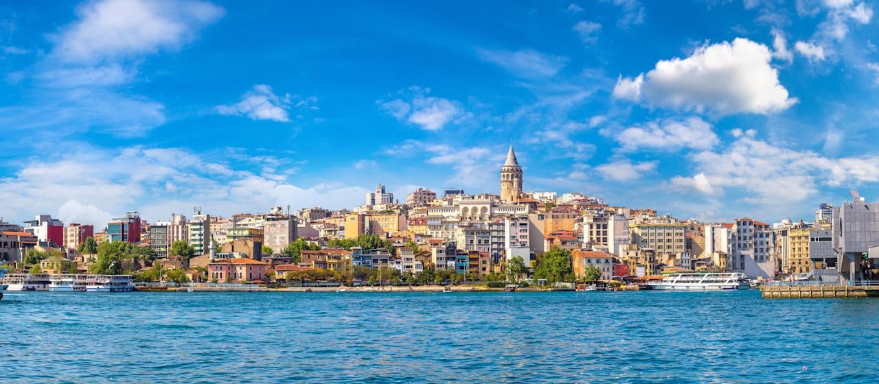 Golden Horn Sightseeing Bus Tour and Bosphorus Cruise - image 2