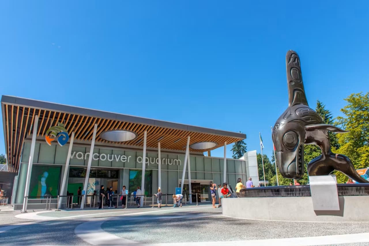 Vancouver Aquarium Ticket - image 2