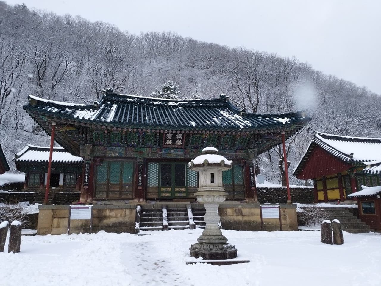 Nami Island, Mount Seorak, and Gapyeong Rail Bike Full-Day Tour from Seoul - image 13