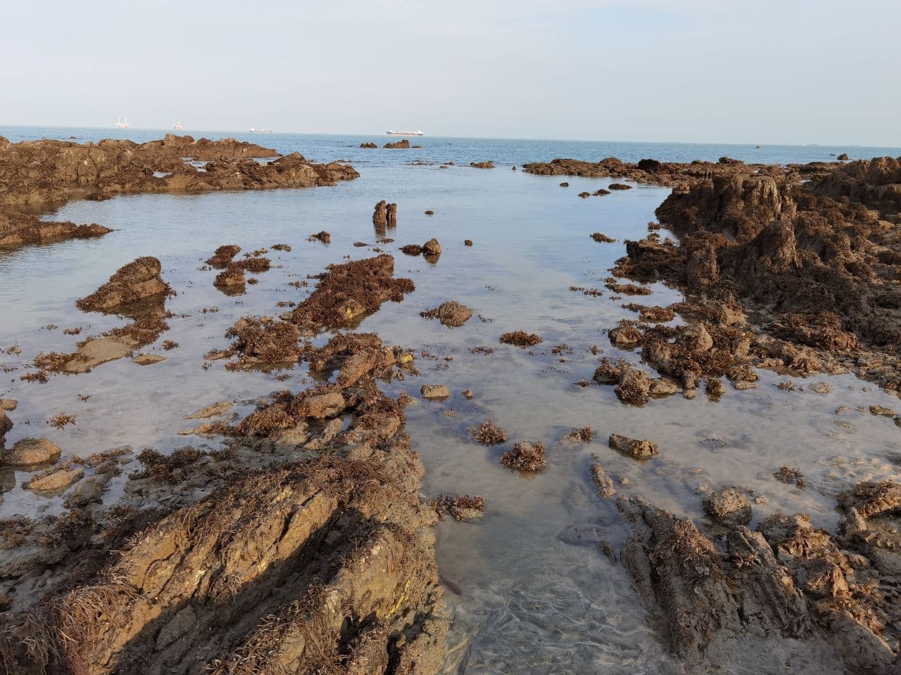 Desaru Beach and Tide Pool Walk - image 4