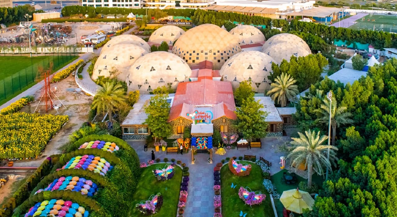 Dubai Butterfly Garden - image 4