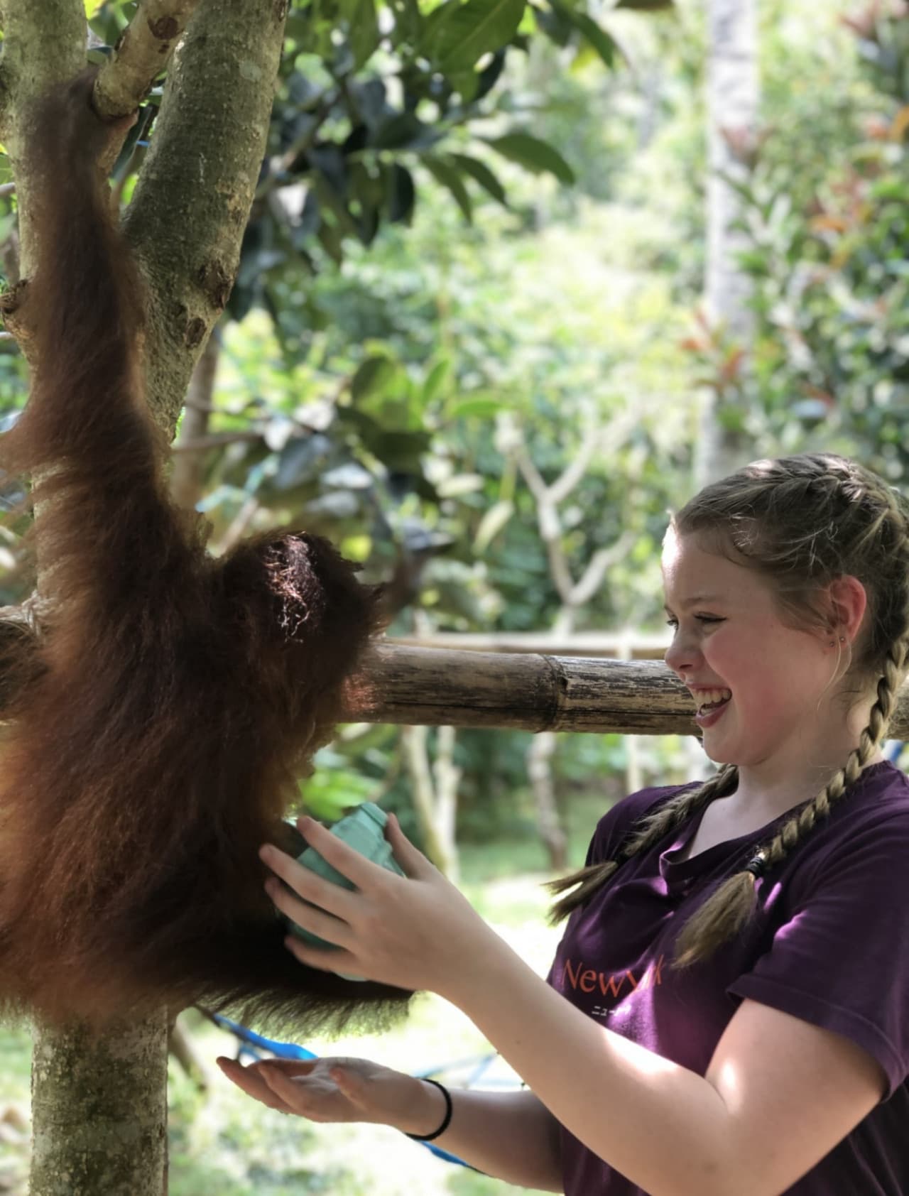 Lombok Wildlife Park - image 6