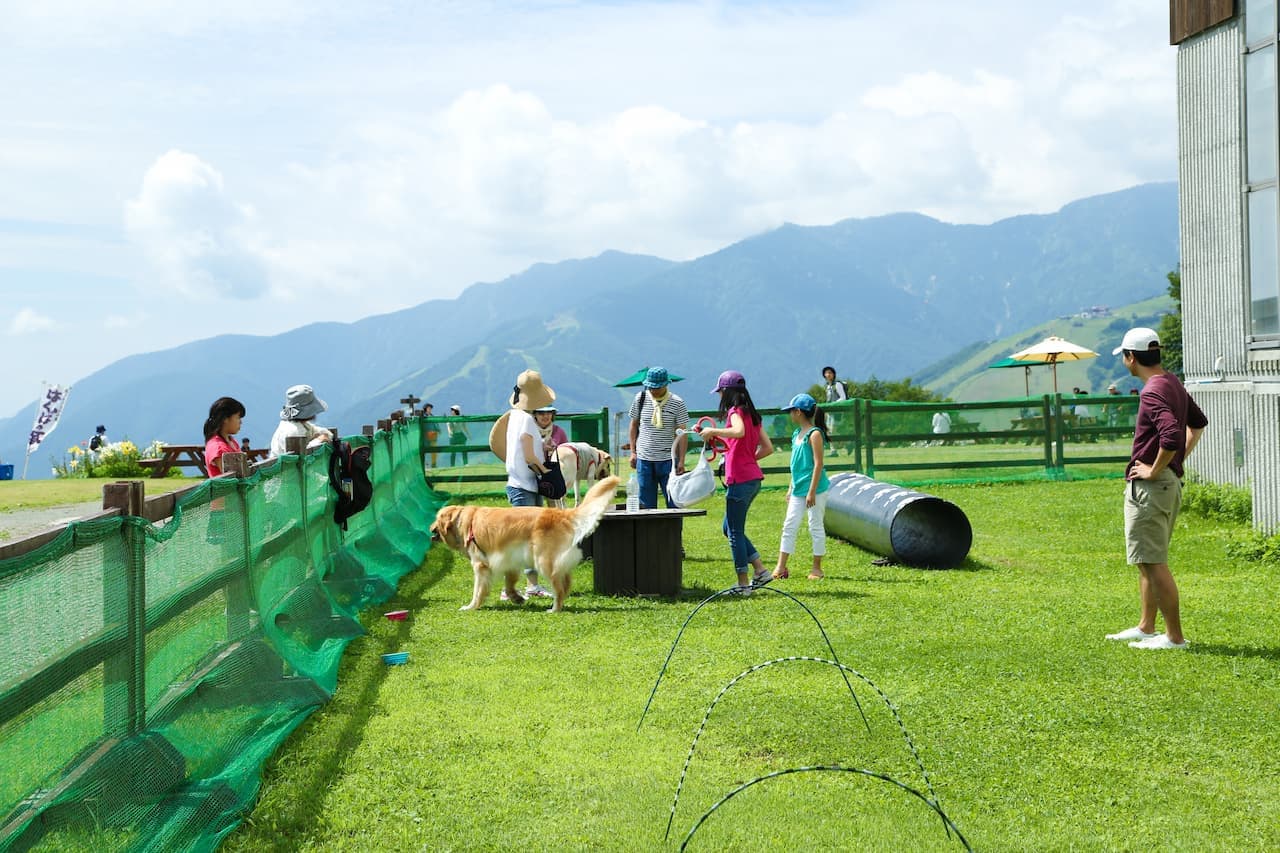 Hakuba Iwatake Mountain Resort - image 7