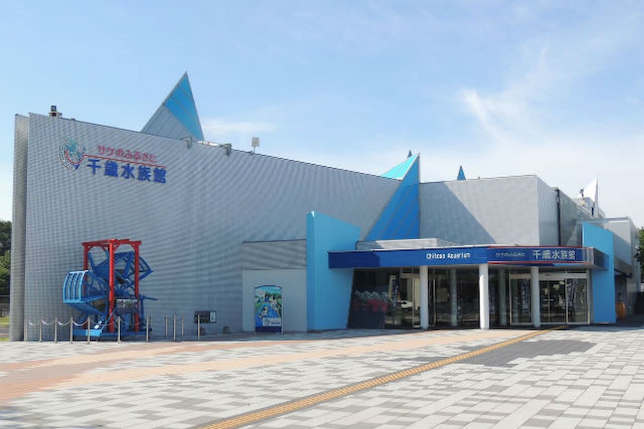 Salmon Hometown Chitose Aquarium Ticket - image 12