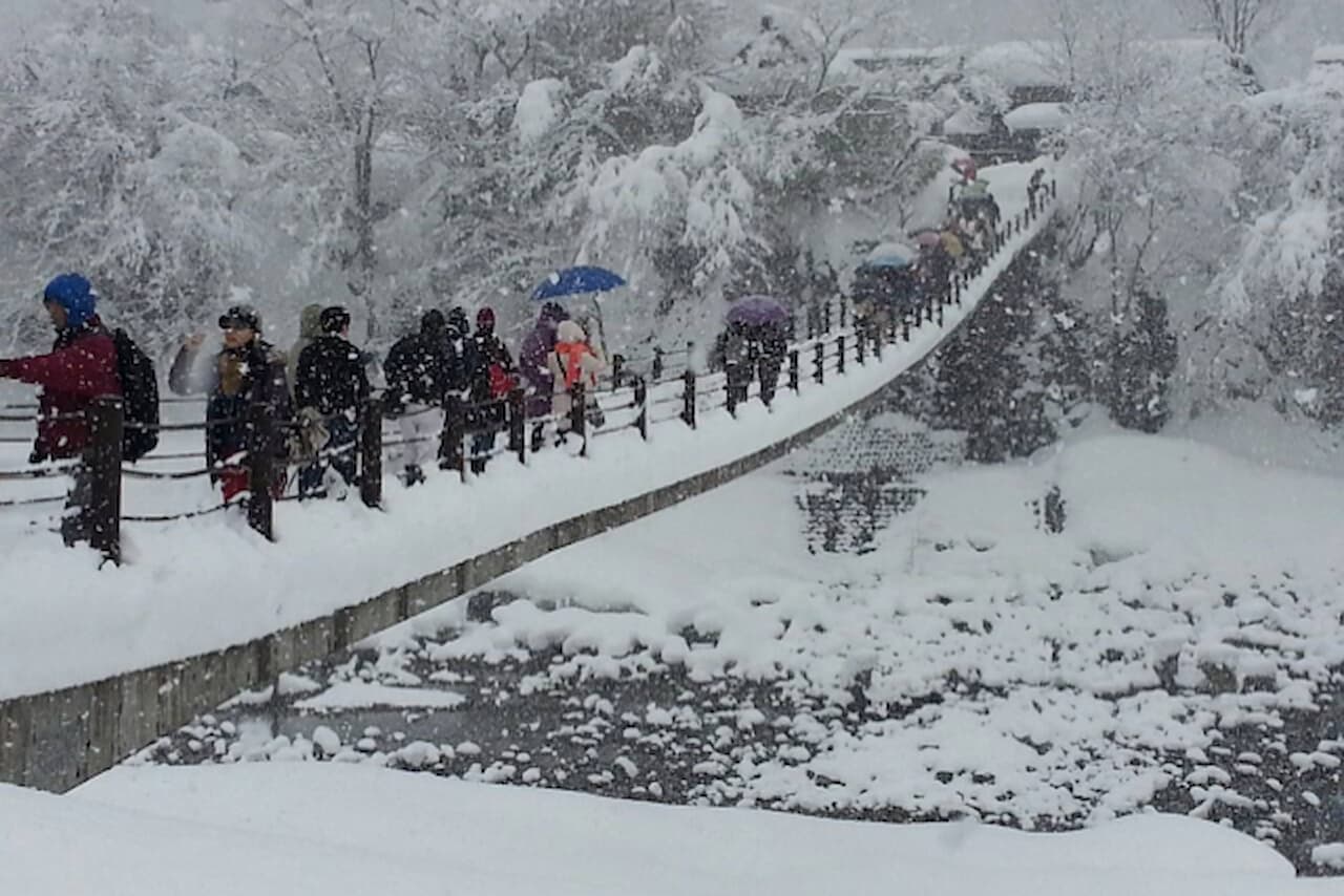 Ishikawa White Ring Bus Tour - image 14