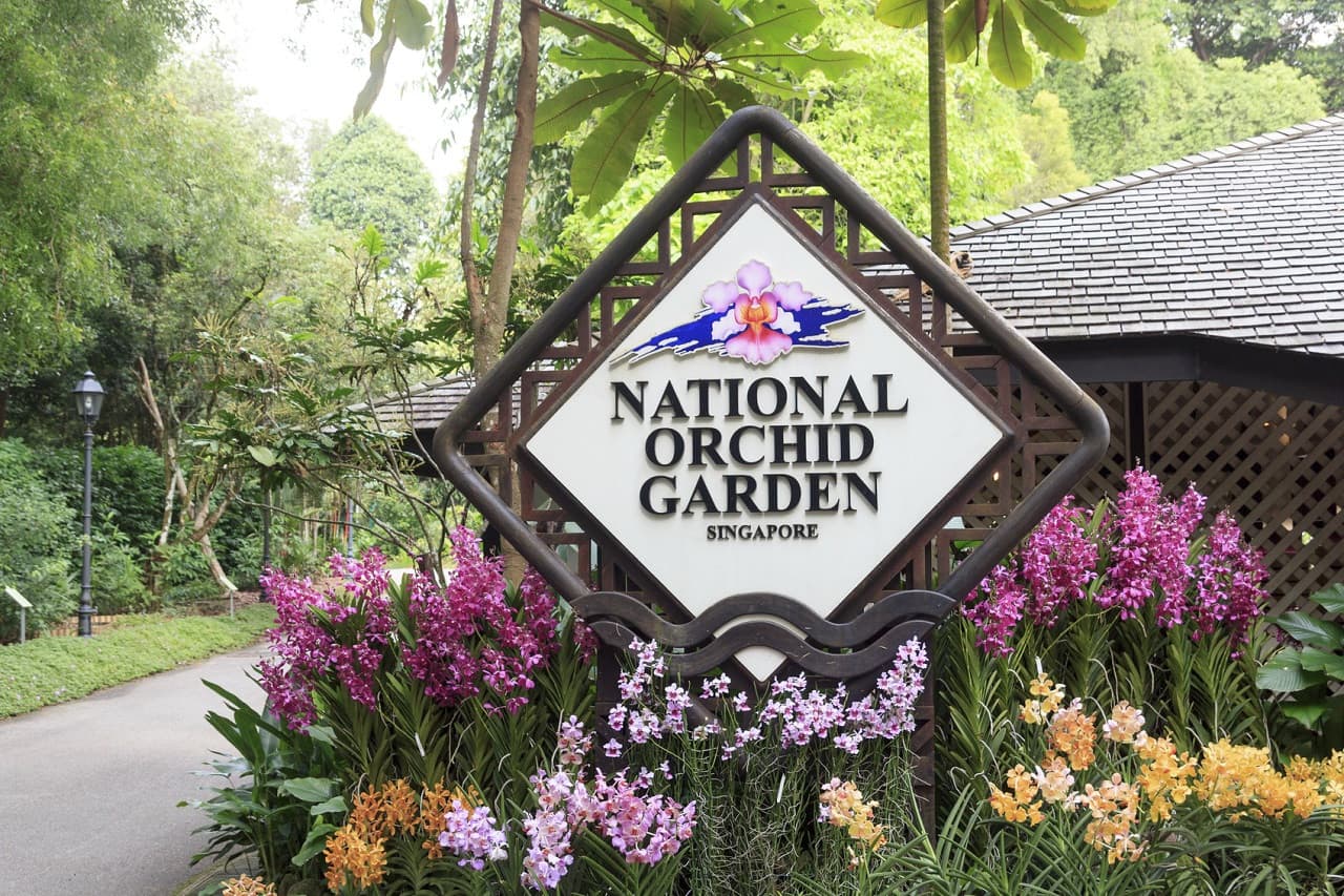 COMBO: Gardens by the Bay - Floral Fantasy + National Orchid Garden - image 2
