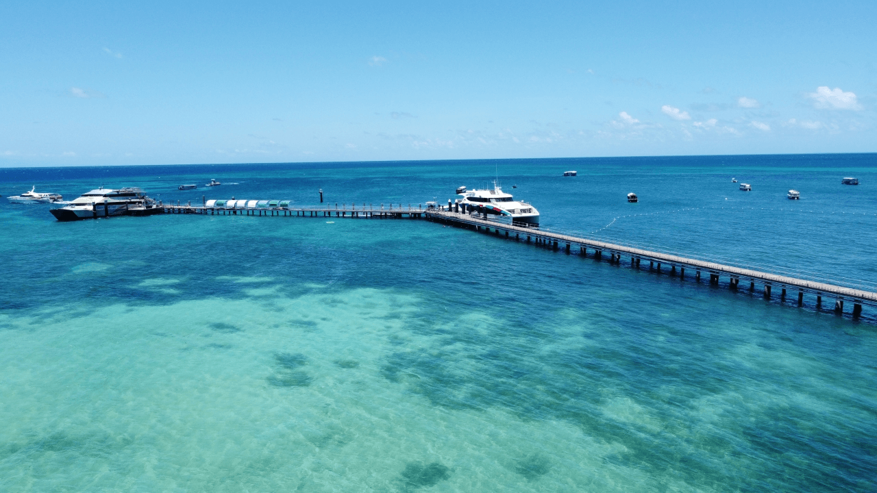 Green Island Reef Full-Day Cruise - image 2