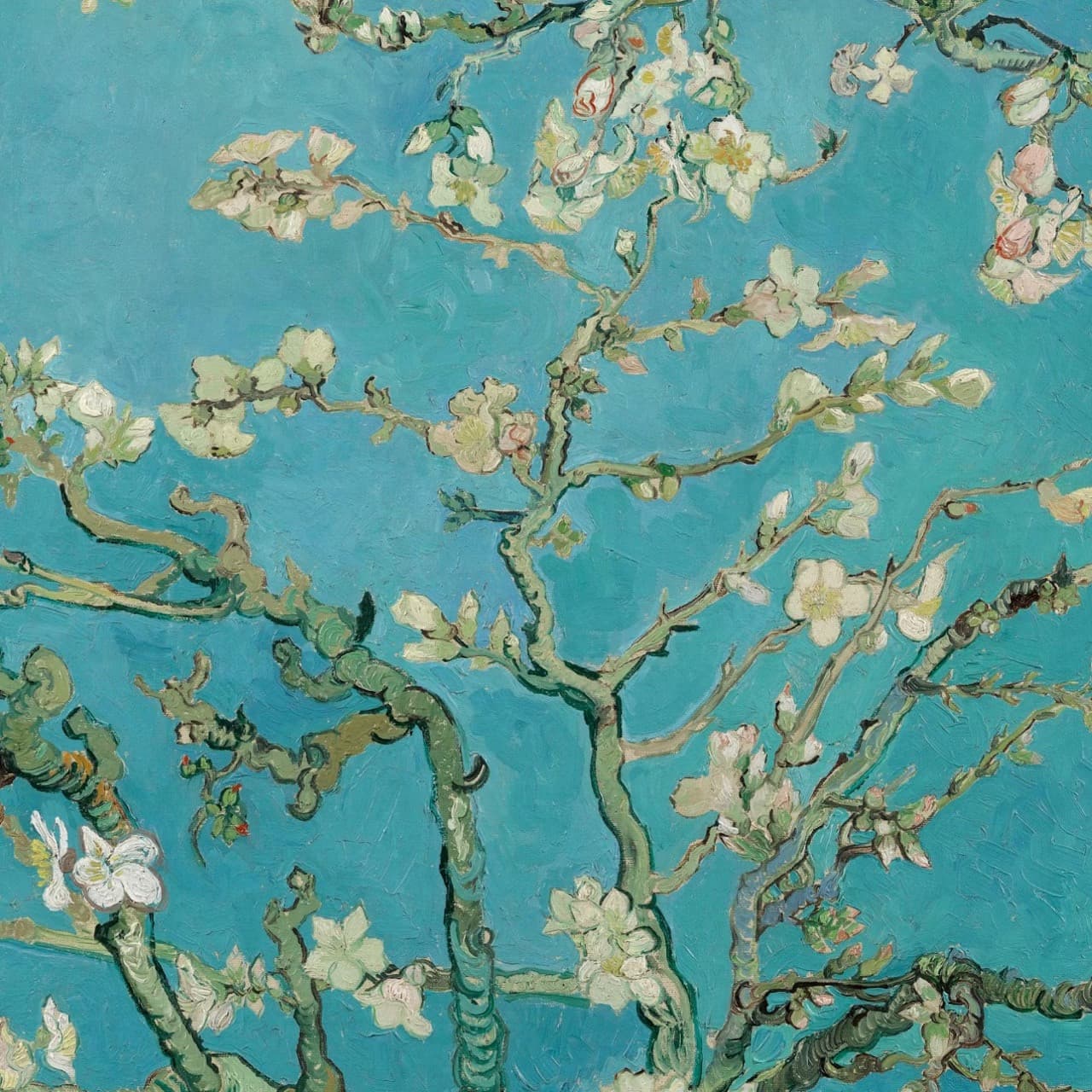 Museo Van Gogh - imagen 3