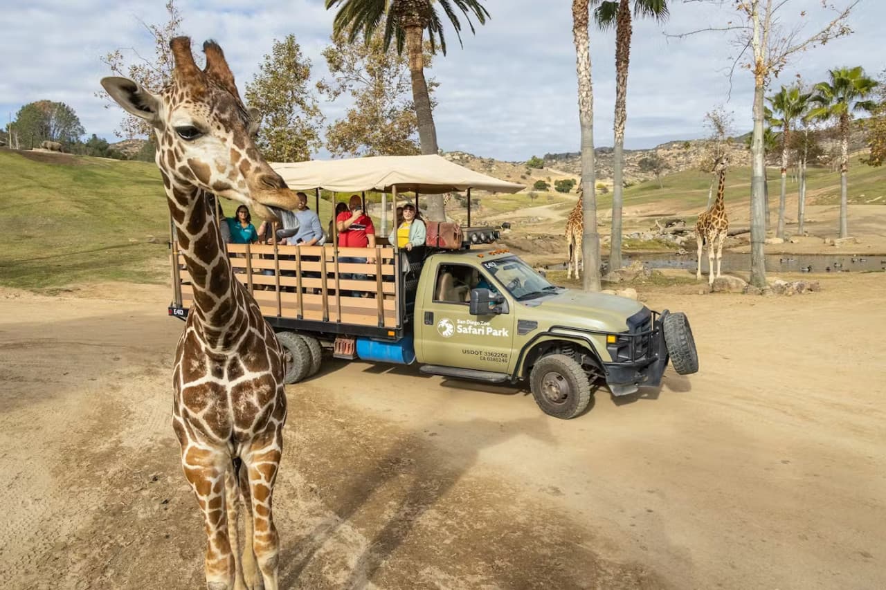 2-Visit Pass: San Diego Zoo + San Diego Zoo Safari Park Tickets - image 10