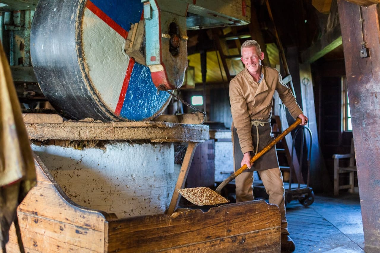 Volendam, Marken, and Windmills Half-Day Tour from Amsterdam - image 5
