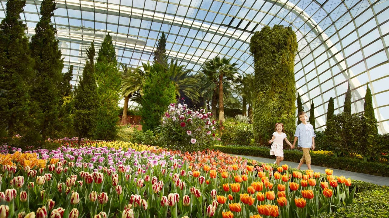 COMBO: Gardens by the Bay + Marina Bay Sands SkyPark Observation Deck Tickets - image 4