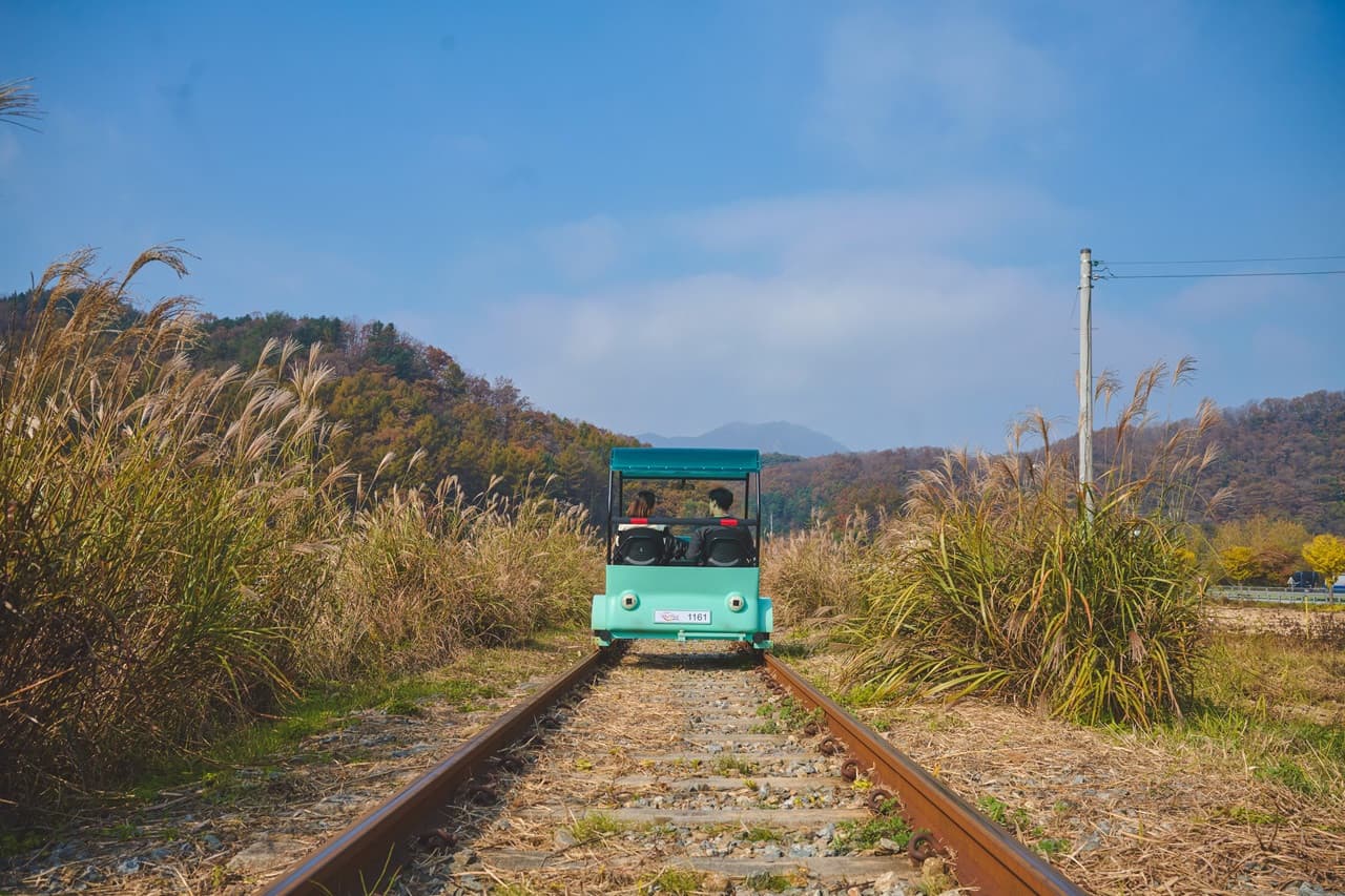 Nami Island, Mount Seorak, and Gapyeong Rail Bike Full-Day Tour from Seoul - image 2