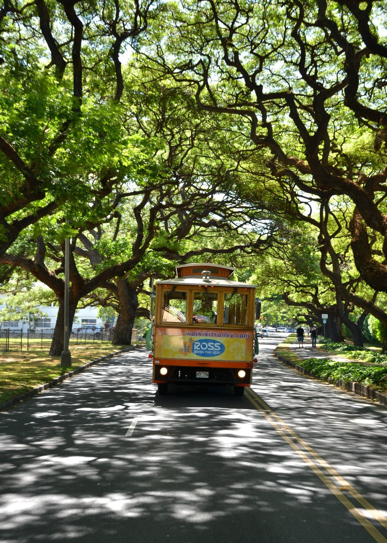 Tour en autobús Hop-on Hop-off Waikiki Trolley - imagen 5