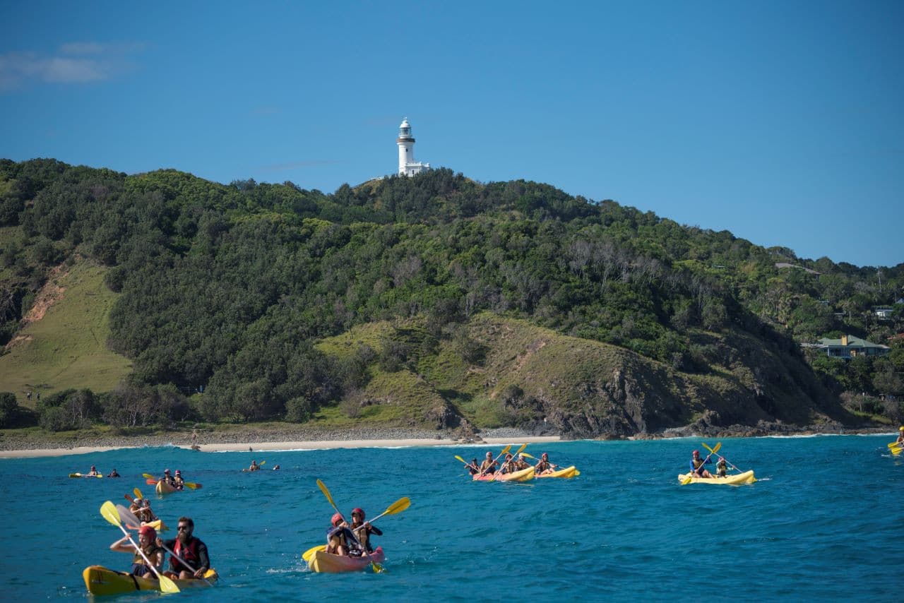 Byron Bay Kayaking Experience with Dolphins - image 7