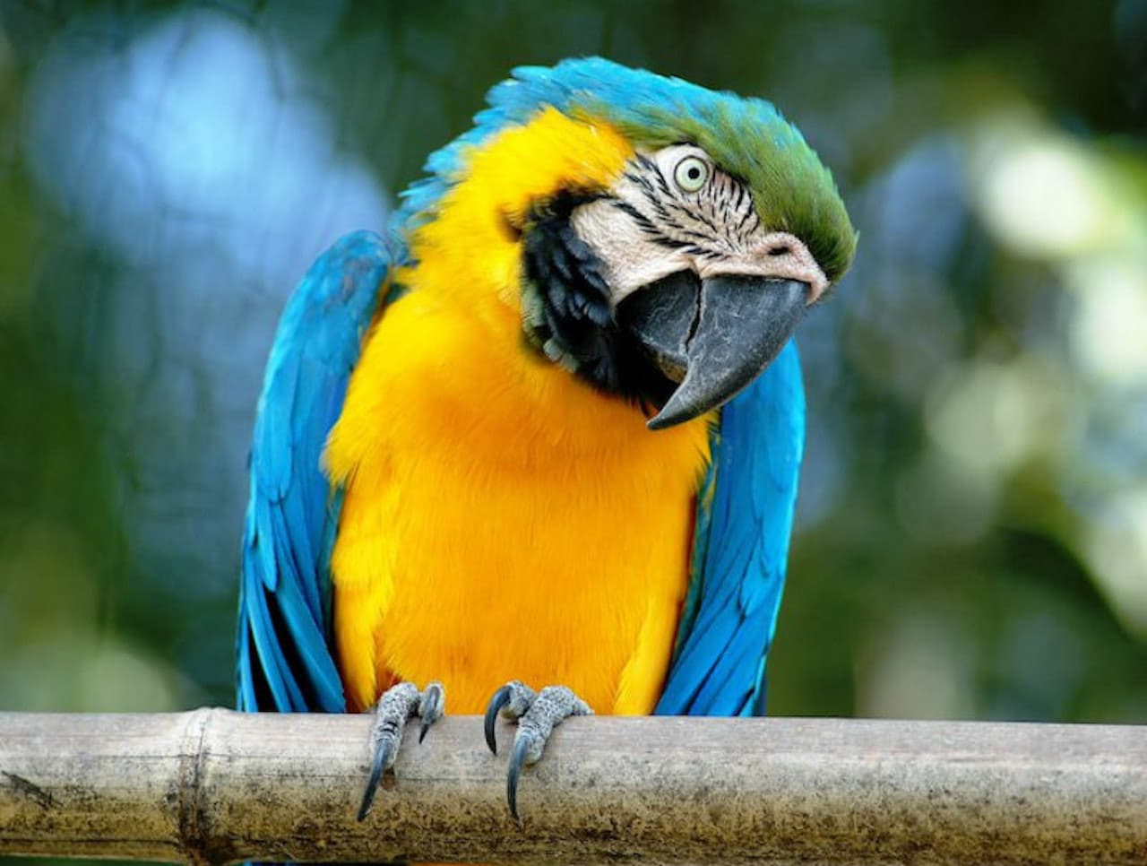 Bioparco: The Zoo of Rome - main image