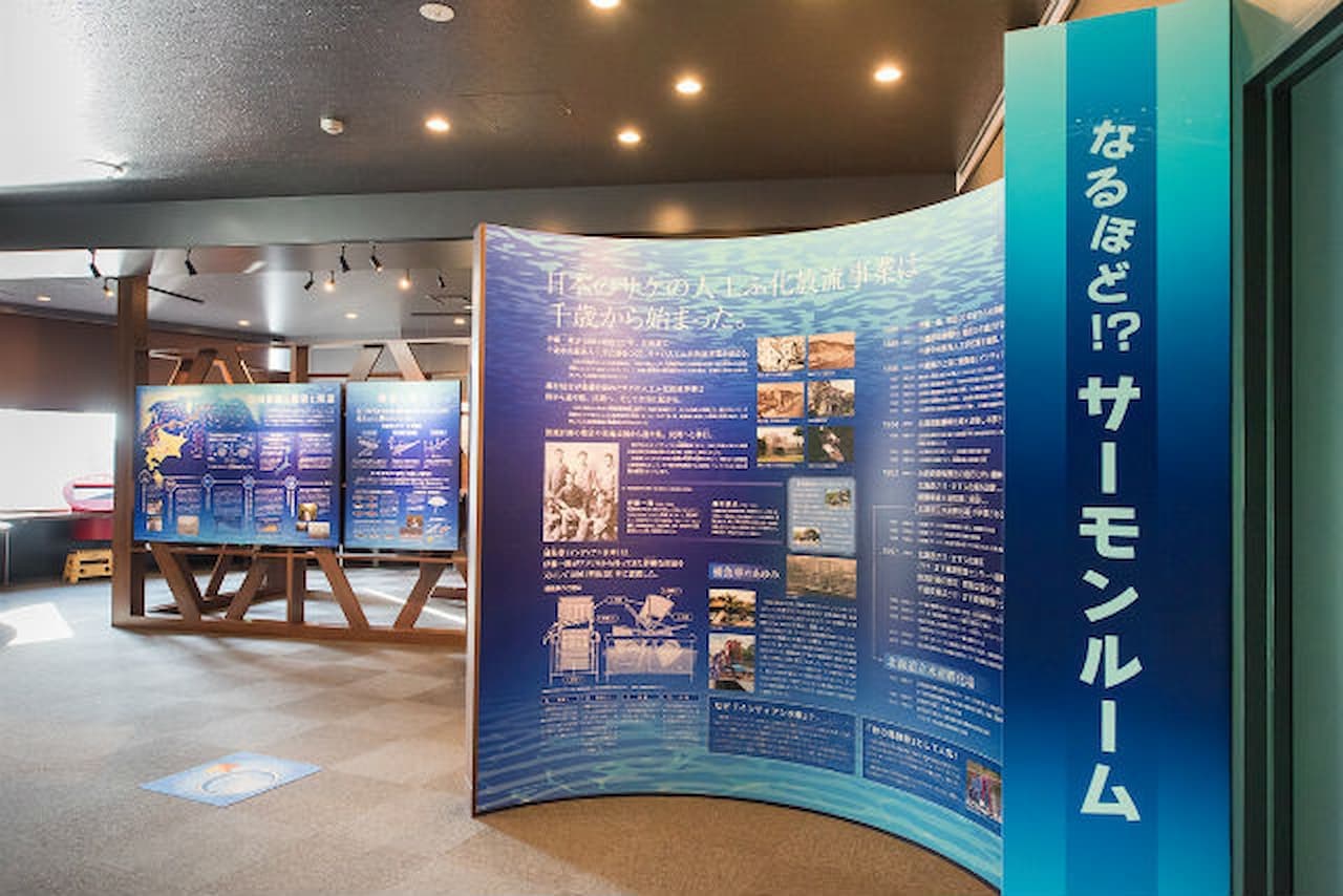 Salmon Hometown Chitose Aquarium Ticket - image 7