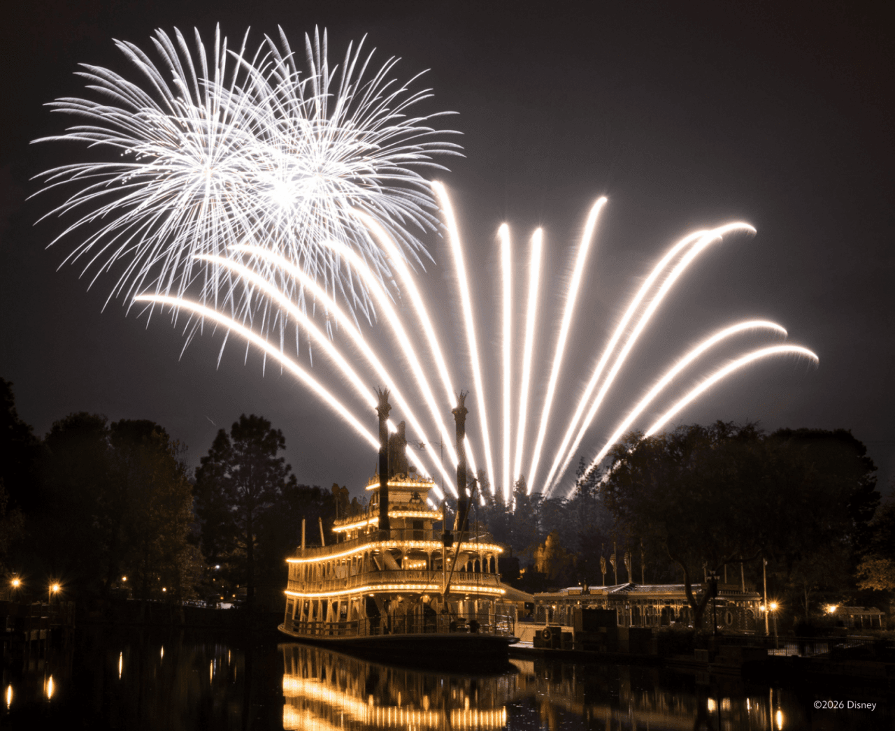 Disneyland Park and Disney California Adventure Park Ticket - image 20