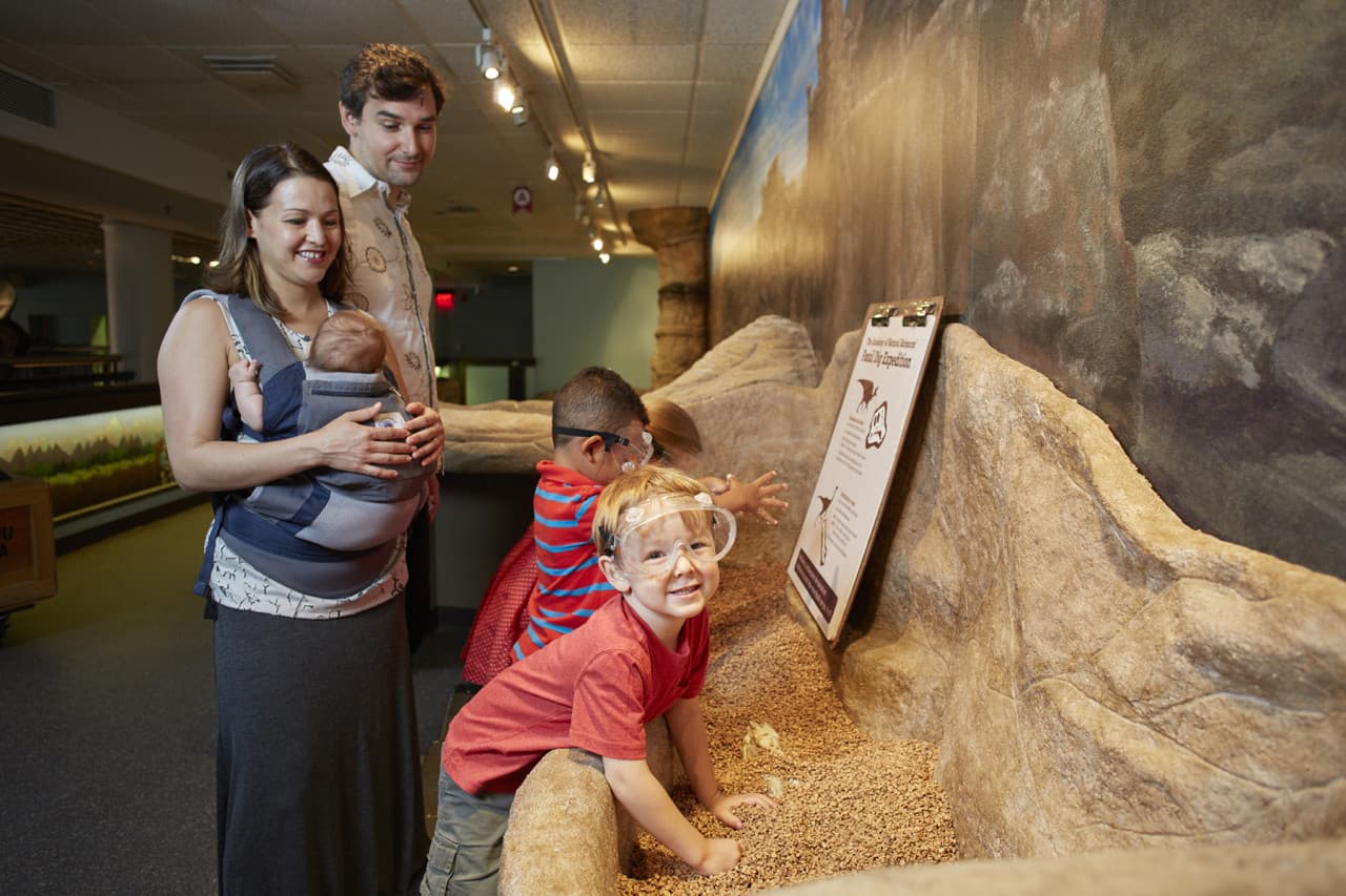 Go City Philadelphia Explorer Pass: Save up to 50% on Attractions - image 24