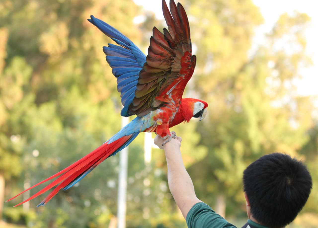 Dubai Dolphinarium Ticket - image 16