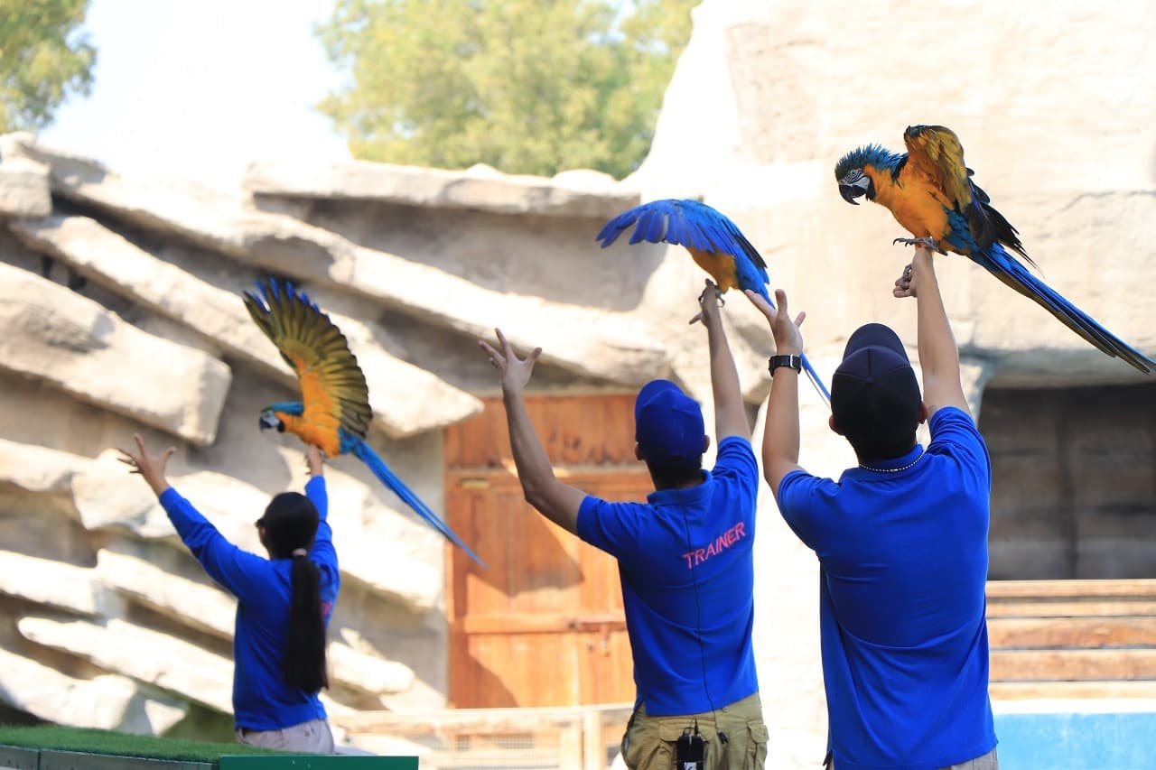 Emirates Park Zoo Ticket - image 5