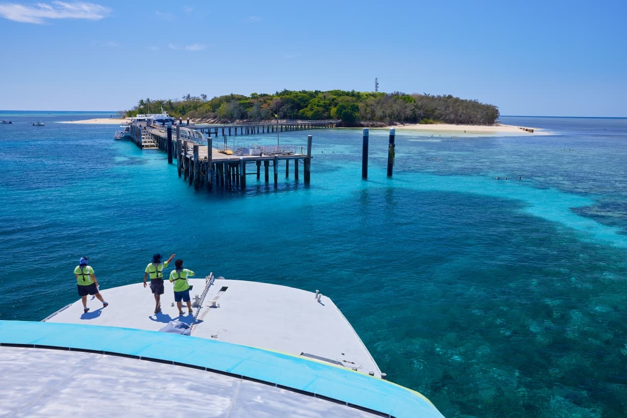 Green Island Great Barrier Reef Half Day Tour from Cairns - image 9