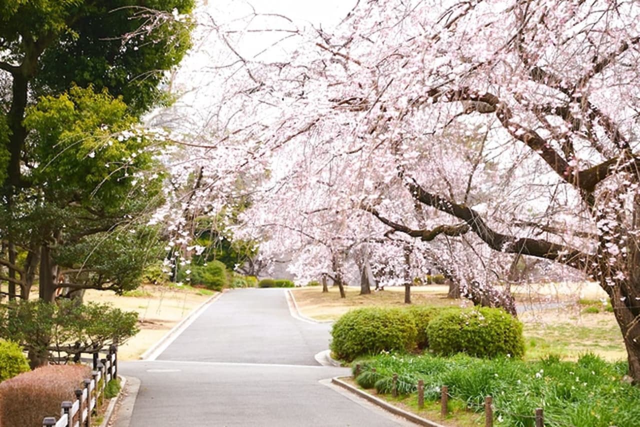 Entrada al Jardín Nacional Shinjuku Gyoen - imagen 2