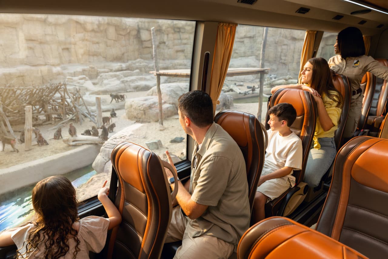 Dubai Safari Park Ticket - image 7