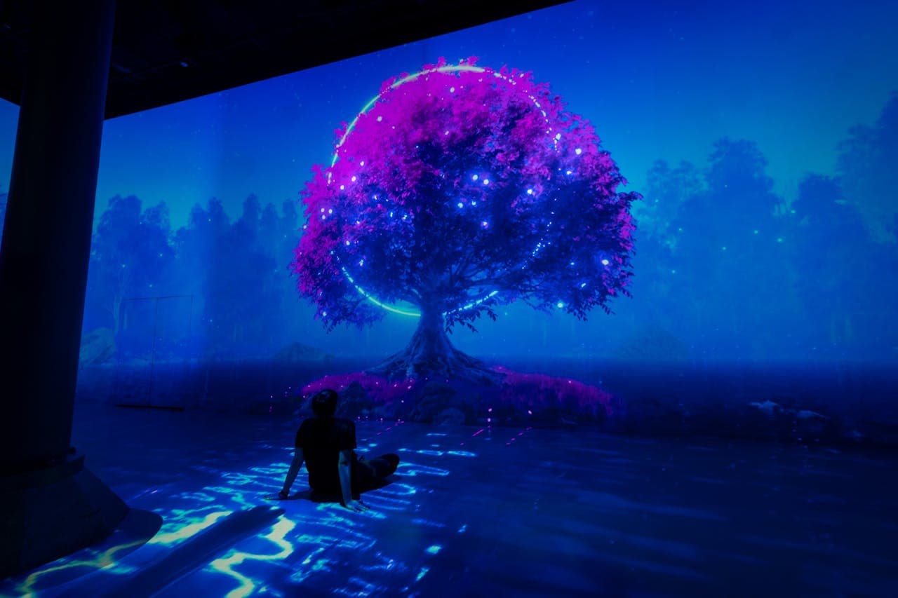 Entrada para ARTECHOUSE New York - imagen 3