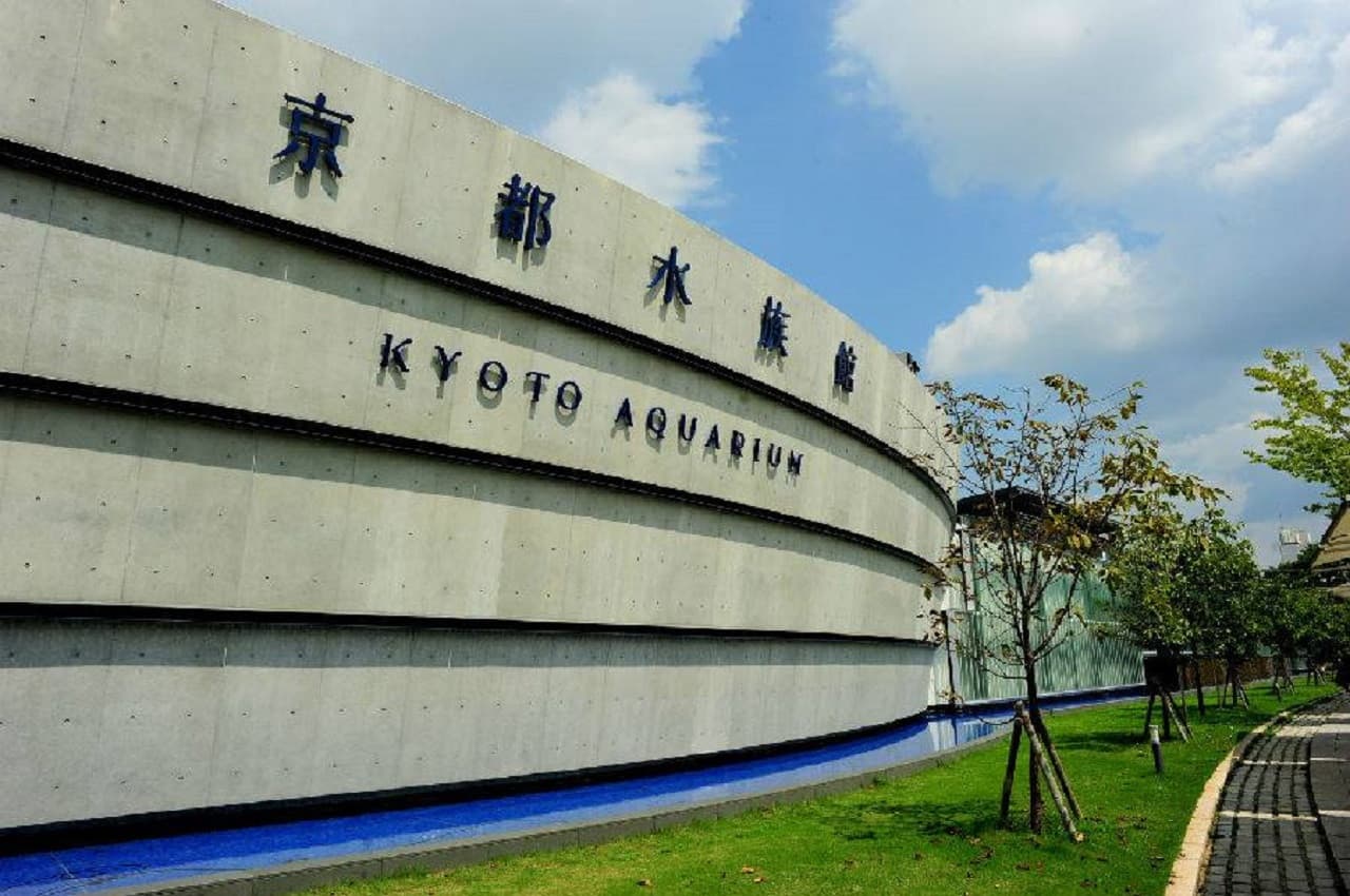 Kyoto Aquarium Ticket - image 15